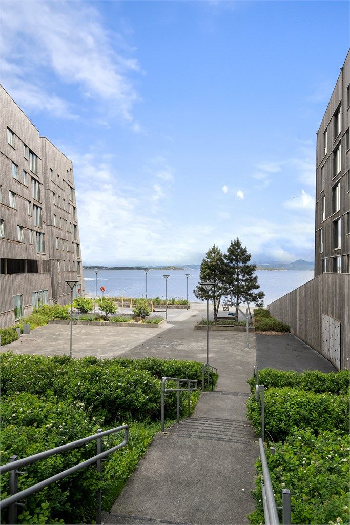 Leiligheten ligger like sjøkanten. Her kan man det maritime livet. 