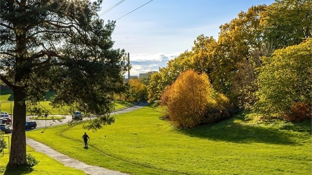 Skiløypeneturstien starter rett utenfor blokken og fører opp i Lillomarka