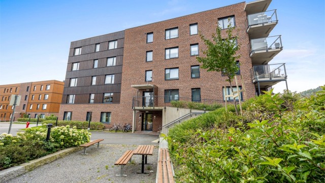 Opparbeidet fellesareal med sittegrupper, beplantning og asfalterte gangveier.
