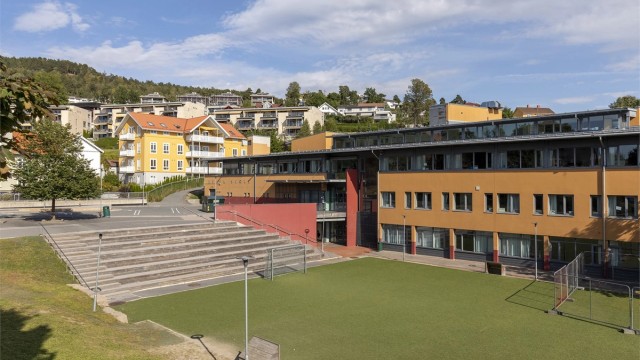 Disen_skole (3).jpg