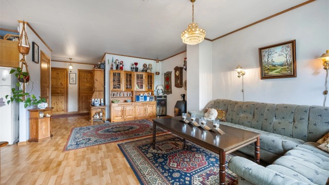 Stuen er romslig og har plass til en større sofagruppe.