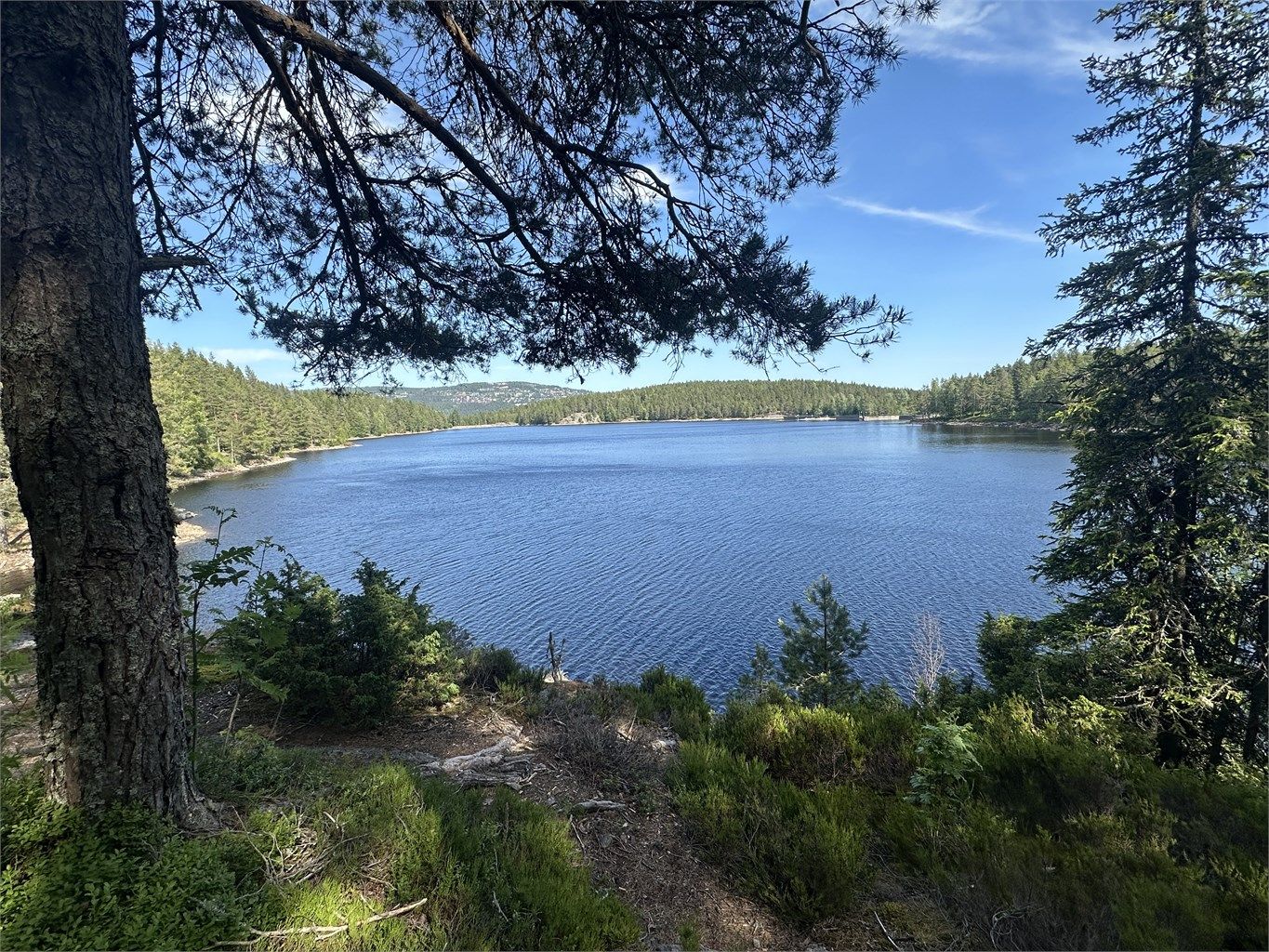Kort vei til Østernvann. Tatt av selger 