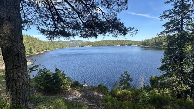 Kort vei til Østernvann. Tatt av selger
