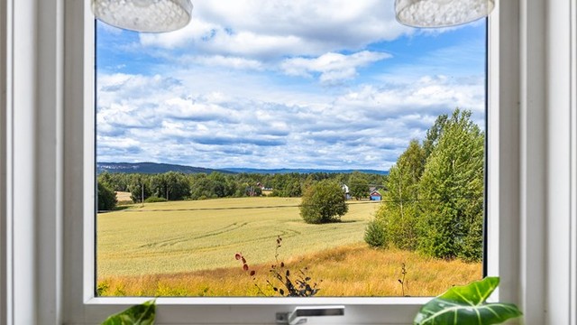 Utsikt fra vinduet mot de åpne jordene.