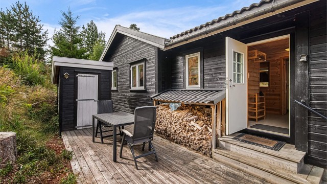 Ytterdør i trekonstruksjon med isolerglassfelt.