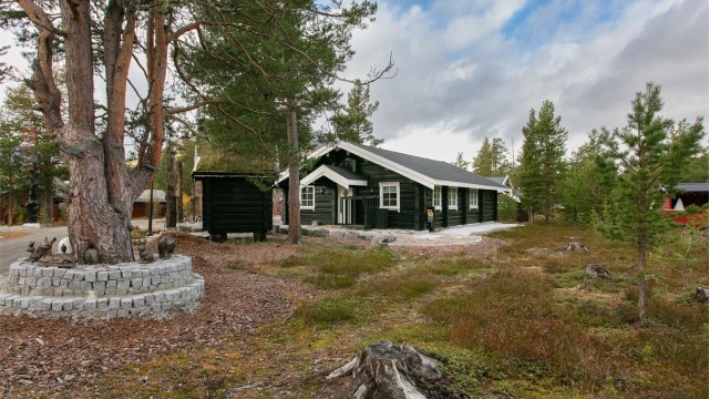 Fasade og naturtomt