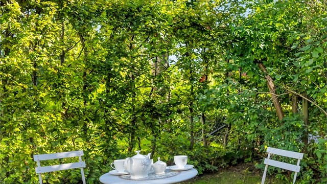 Hyggelig uteplass- perfekt for rolige morgener og en kaffestund.