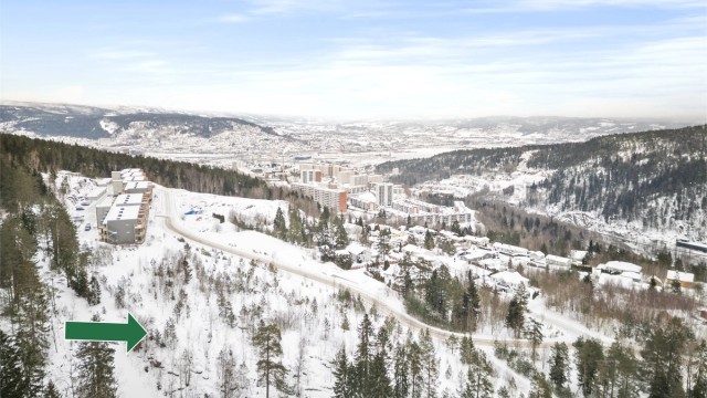 Velkommen til Knut Auberts vei - 4 tomter på totalt ca. 8.300 kvm!
Foto: Ole Thorgeir Solheim Thoresen