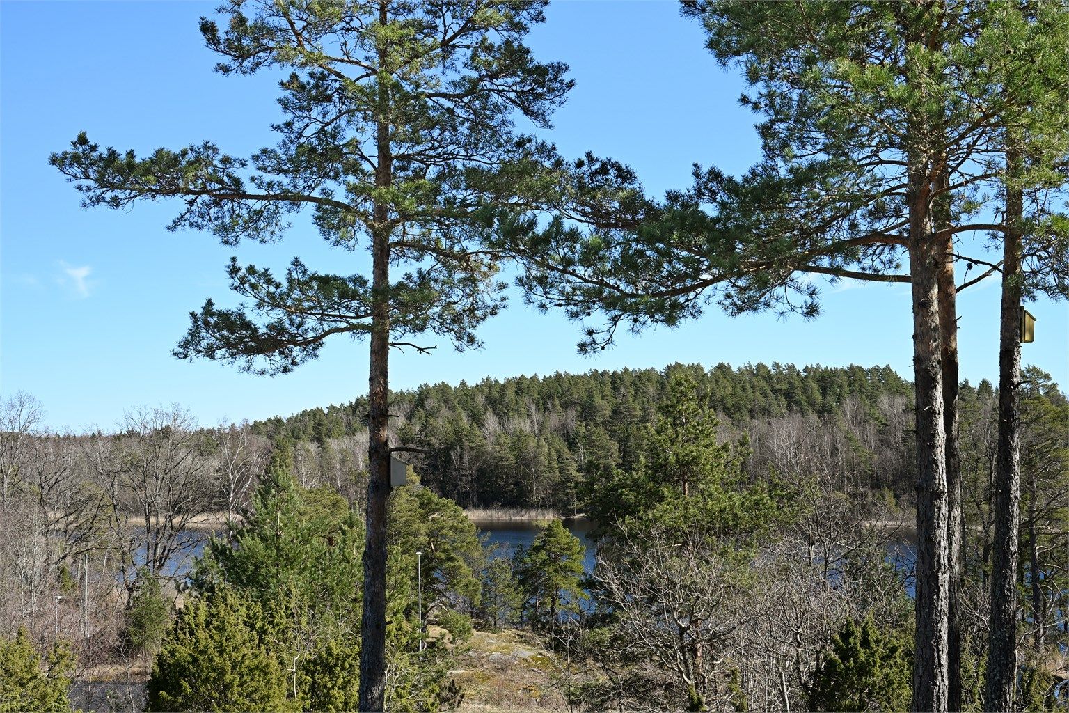 Skog og natur er rett utenfor døren.