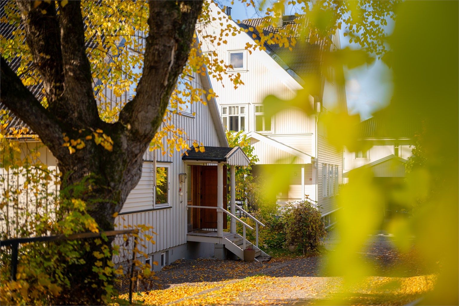 Velkommen til visning! 