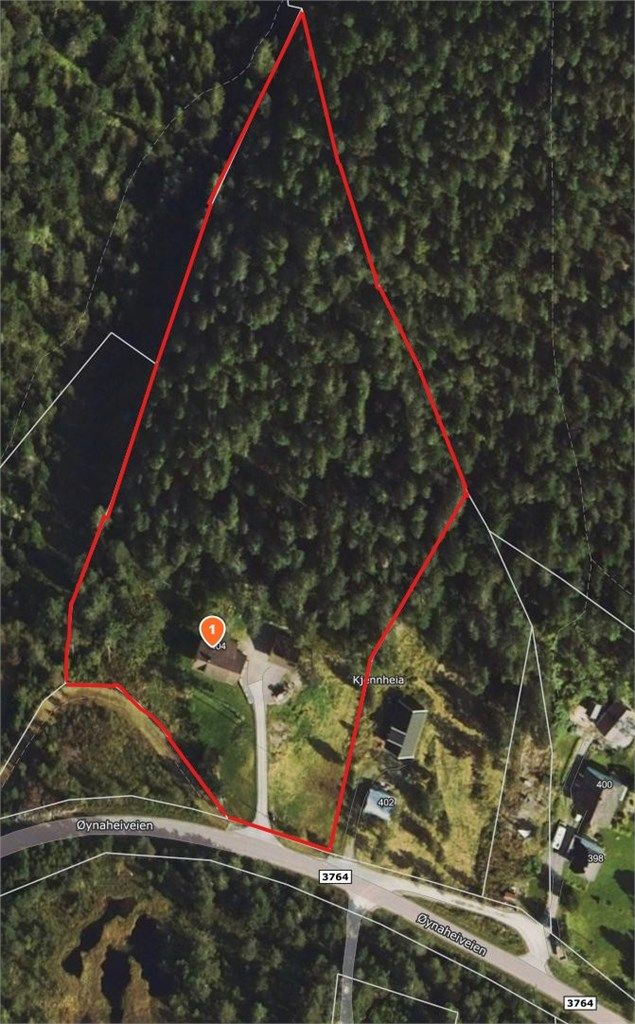 Tomtegrenser i rødt, tegnet enkelt inn for å vise ca. tomtegrenser. Det er ryddet litt skog nærmere huset siden oversiktsbildet ble tatt.