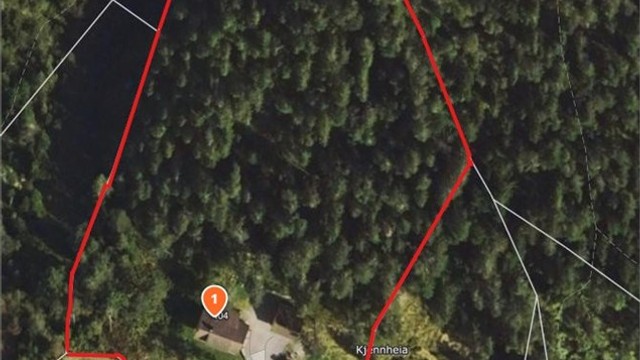 Tomtegrenser i rødt, tegnet enkelt inn for å vise ca. tomtegrenser. Det er ryddet litt skog nærmere huset siden oversiktsbildet ble tatt.