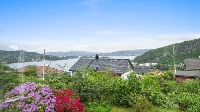 Fantastisk utsikt over innseilingen til Bergen med orkesterplass til de flotte cruisebåtene