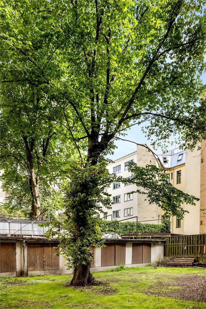 Sameiets fellesområder 