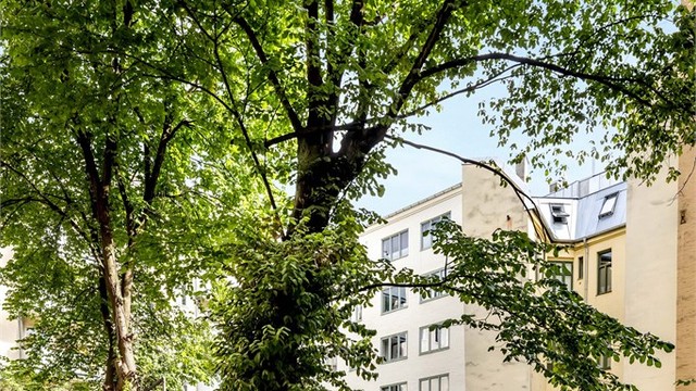 Sameiets fellesområder