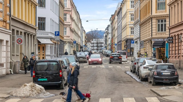 Vibes gate har mye å by på og består hovedsakelig av flotte bygårder for bolig og næring.