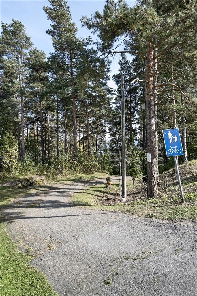 Gangvei til bussholdeplass