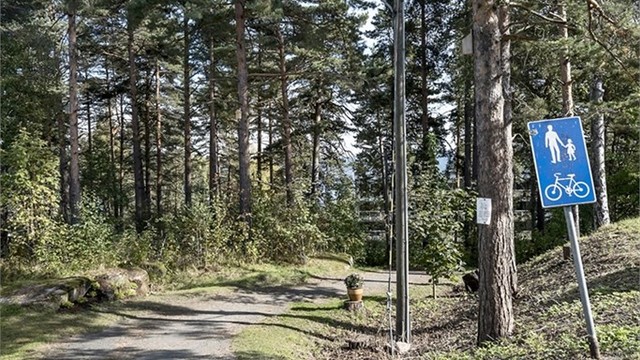 Gangvei til bussholdeplass