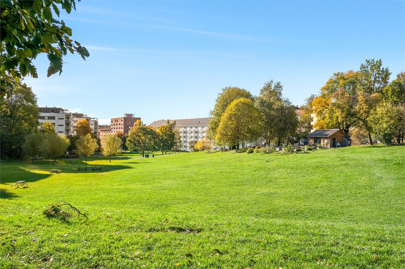 Nærområdet: Noen meter unna har du din egen grønne oase - Iladalen. En stor, flott park, tilbaketrukket fra all biltrafikk. I tillegg er det flere flotte turmuligheter langs Akerselva.