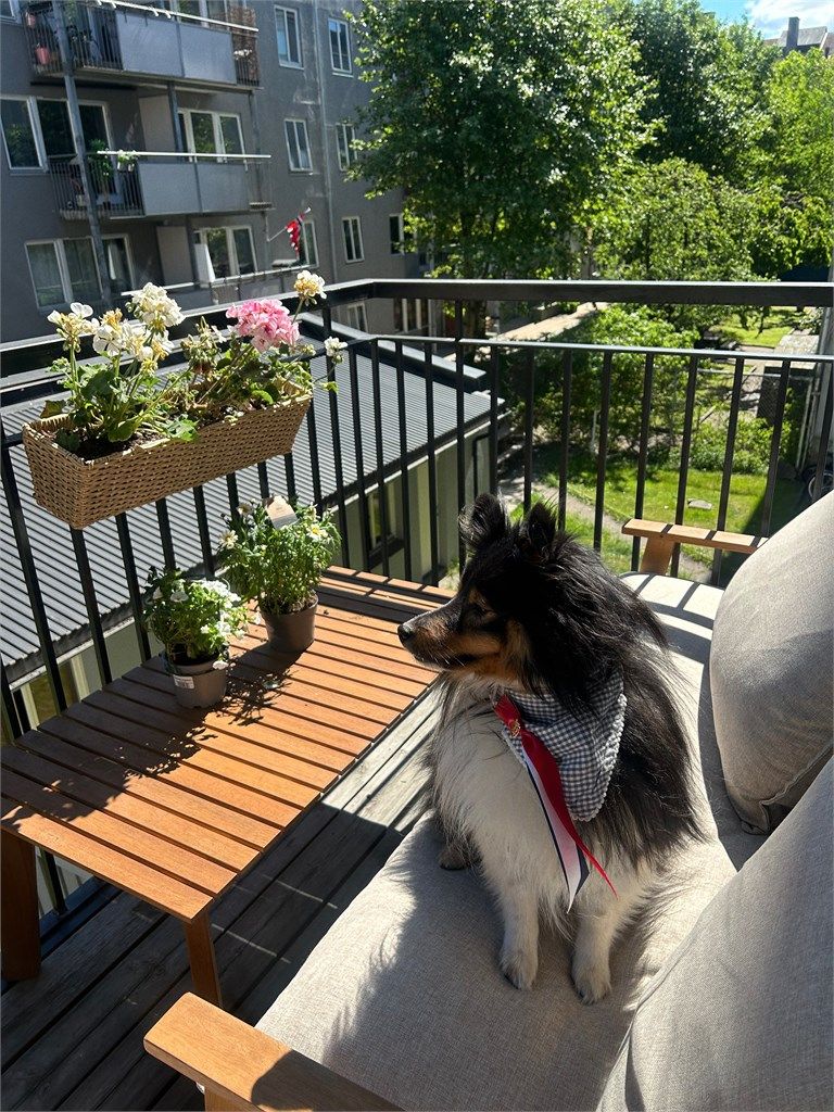 Balkongen har flott grønt utsyn sommerhalvåret, og gode solforhold. Selgers bilde. 