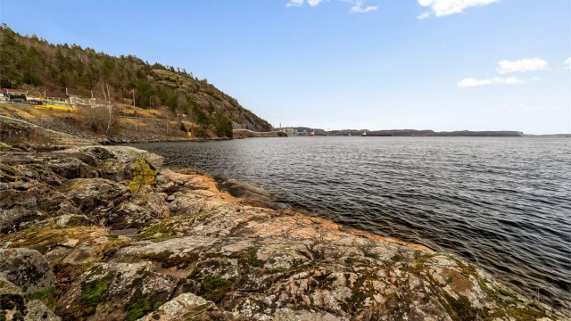 Fine turområder i nærmiljøet.