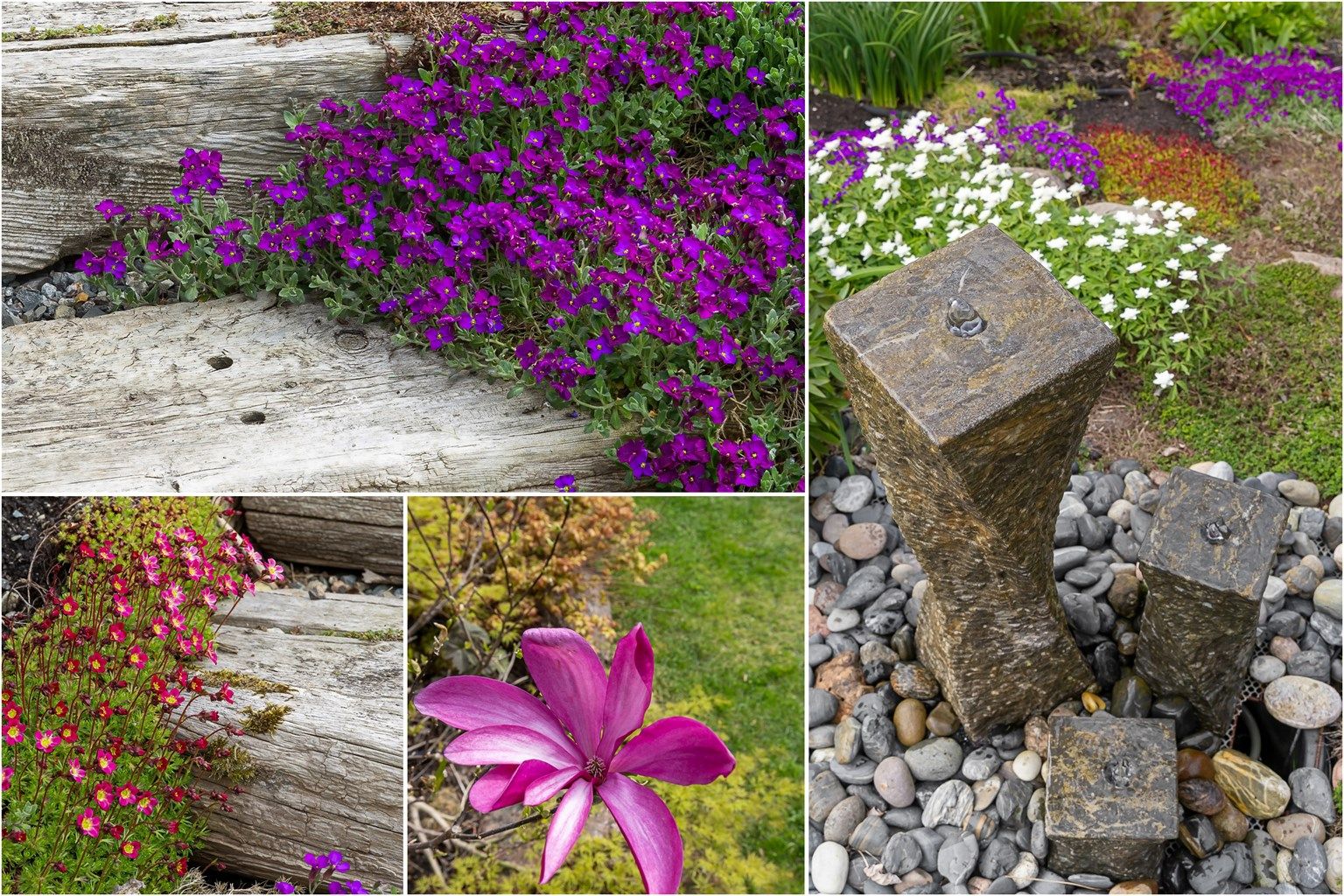  Uterommet byr på flere ulike roser, sildre, klematis, magnolia m.m. 