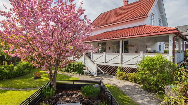 Vårbilde av hagen - Selgers bilde.
