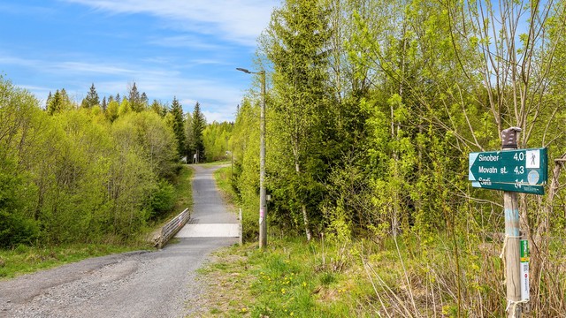 Flotte turstier og skiløyper i umiddelbar nærhet.
