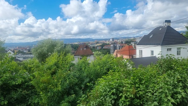 På sommeren er det et grønt og frodig utsyn - selgers eget bilde.