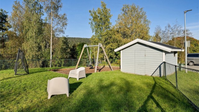 Sommerbilde av området