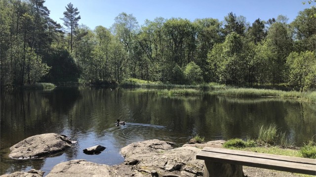 Rikelig med turstier rundt golfbanen og inn i Siljustølen.