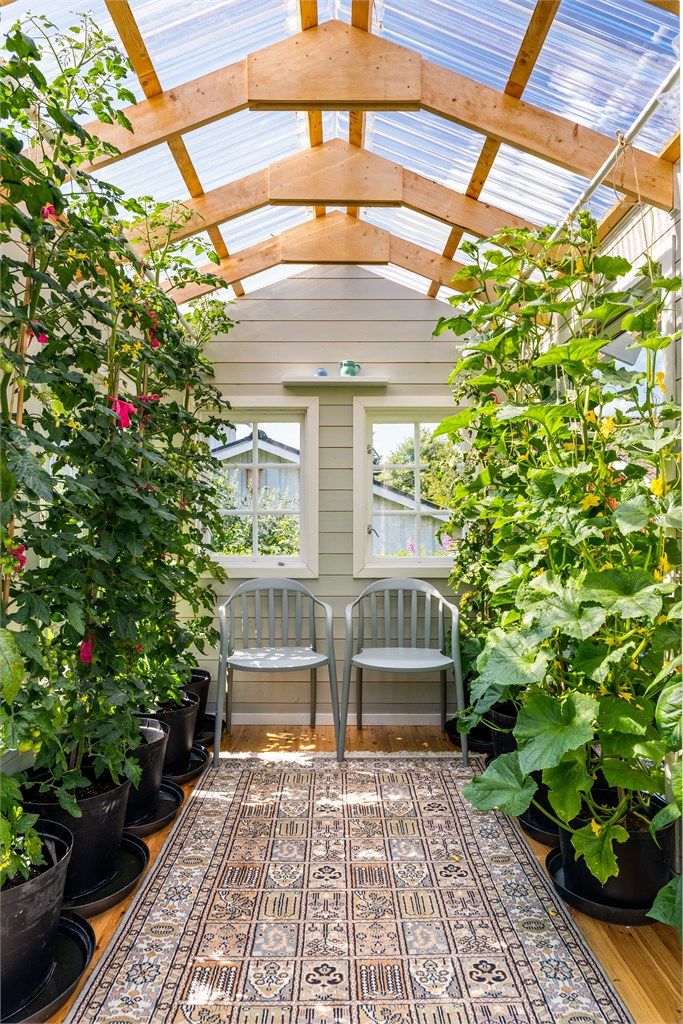 Fantastisk drivhus med innlagt strøm.