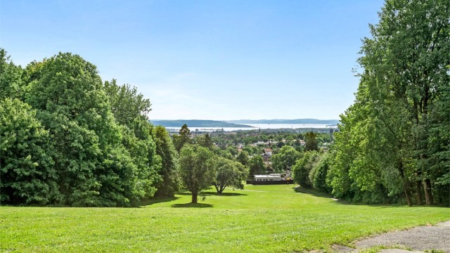 Carl Kjelsens park