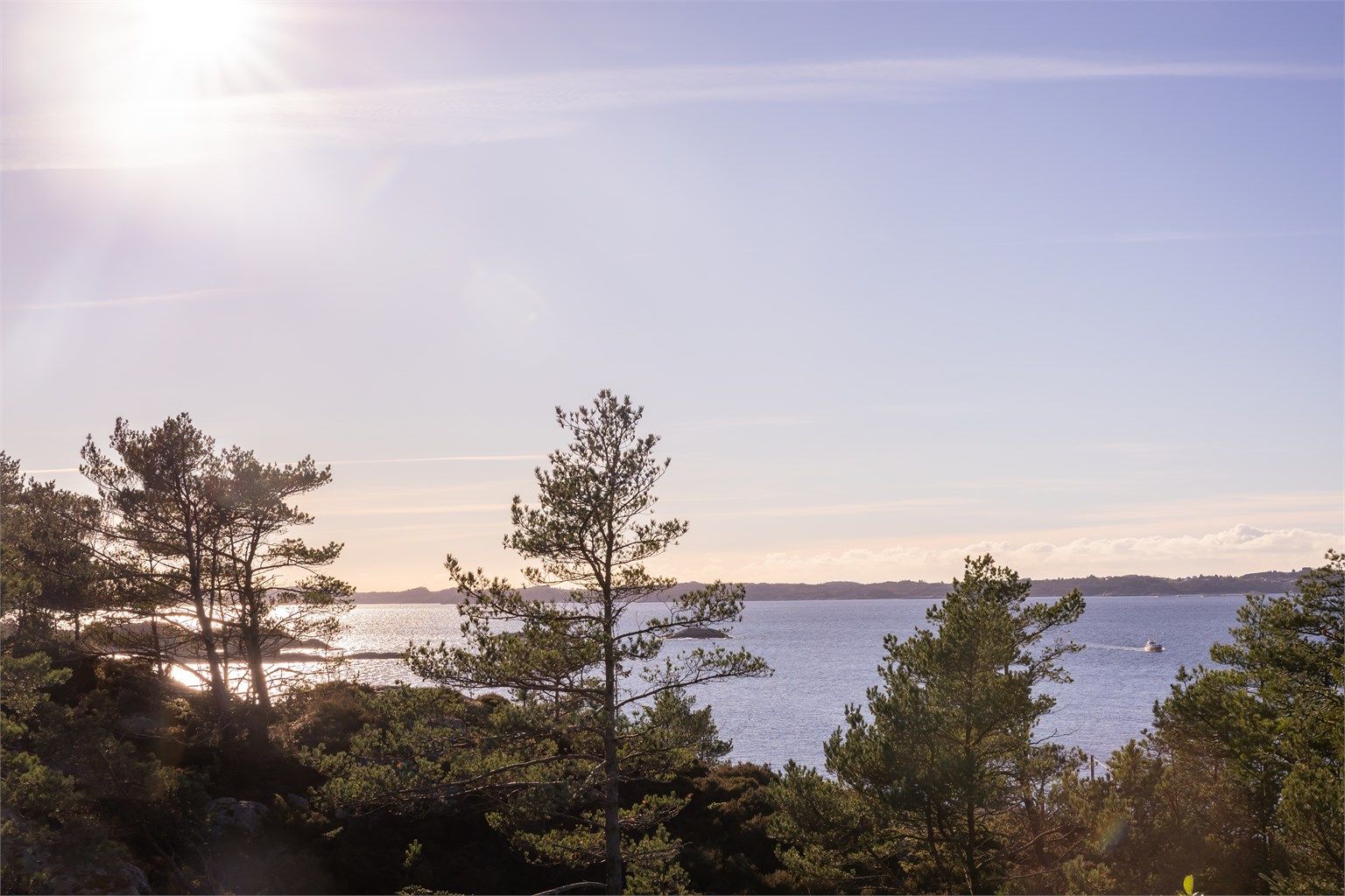 Koselig å kunne følge skips og småbåtrafikken på nært hold.