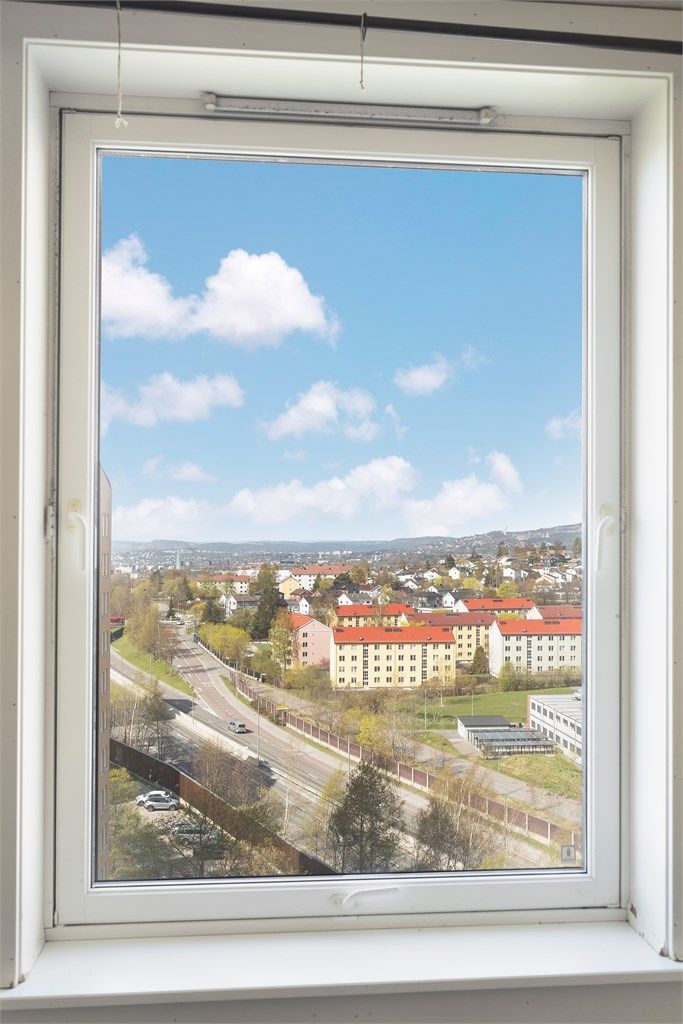 Vinduer fra 2014 med 2-lags glass rammer inn utsikten.