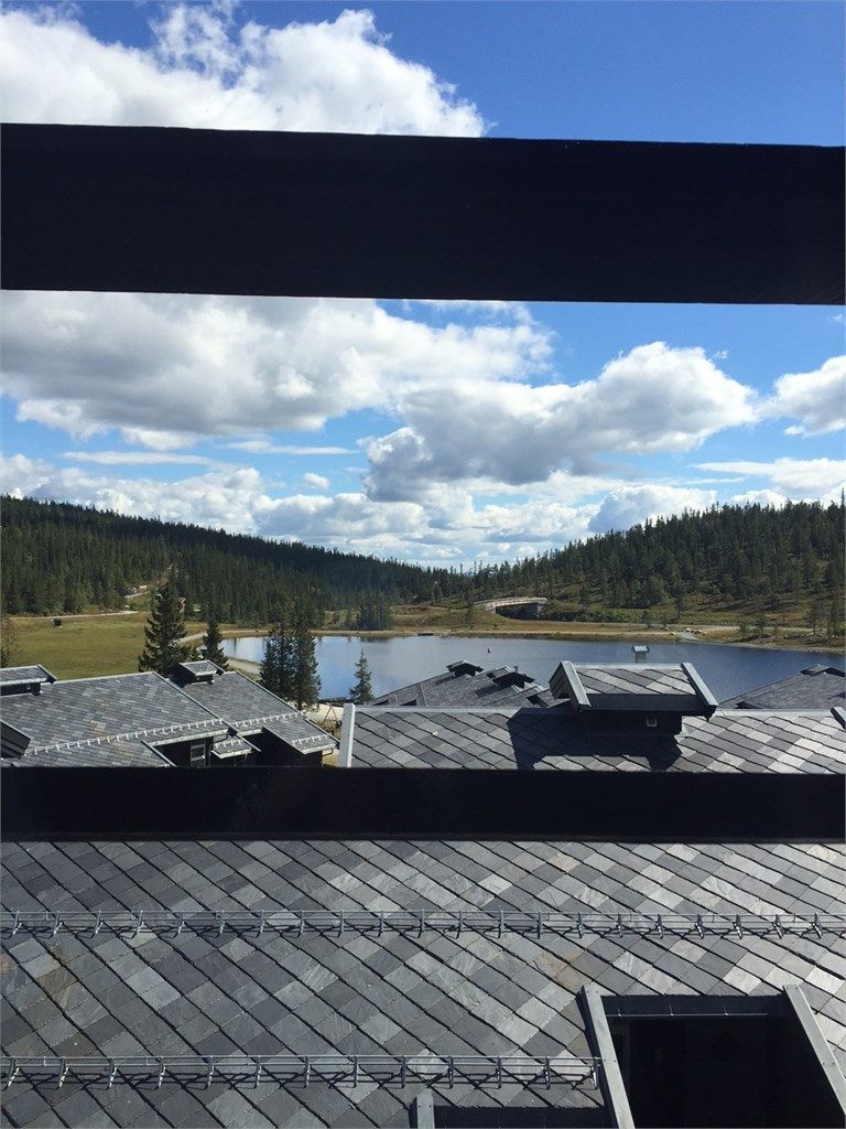 Deler av utsikten fra stuen