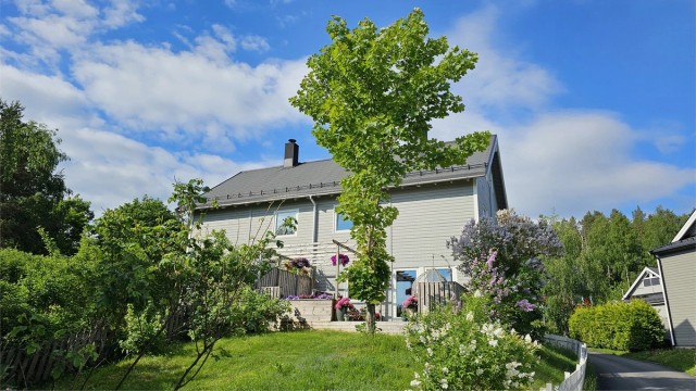 Robin Lauritzen v/ Krogsveen har gleden av å presentere Munkebekken 254!