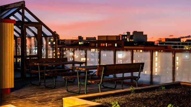 Fellestakterrasse med sittegrupper, drivhus og annet beplantning.