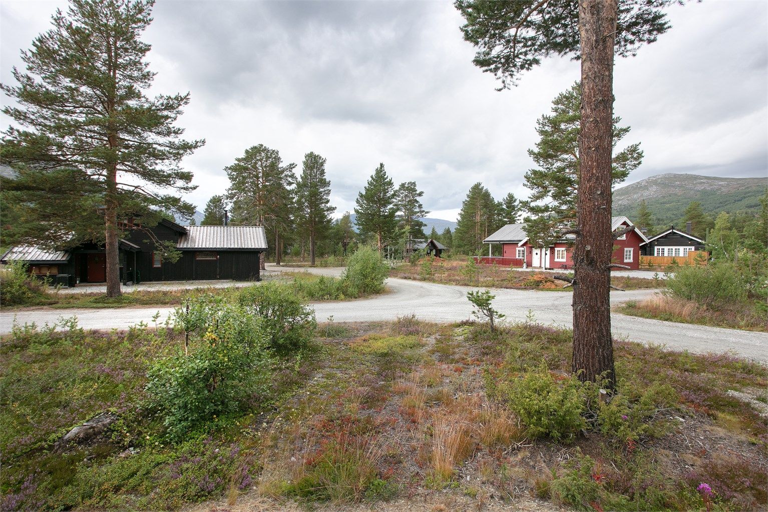 Kort vei til Bjorli skisenter og over 80 km preparerte langrennsløyper.