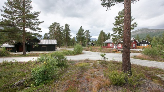 Kort vei til Bjorli skisenter og over 80 km preparerte langrennsløyper.