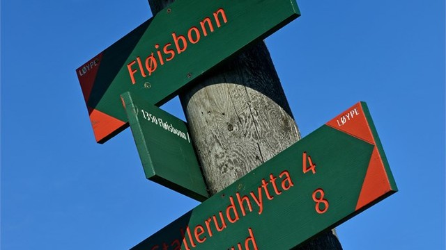 Gode turmuligheter i nærområdet - lysløype og turstier til bl.a. Grønliåsen, Åsland, Stallerud og Sterkerud