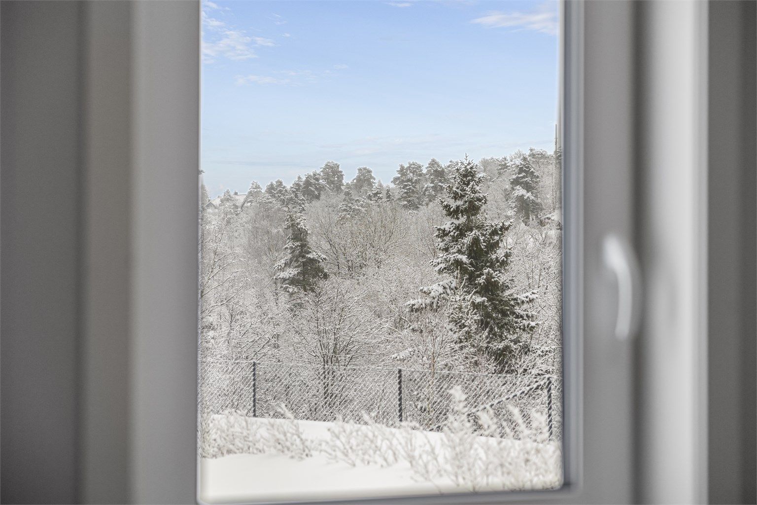 Utsikt til skogen fra det ene soverommet.