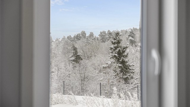 Utsikt til skogen fra det ene soverommet.