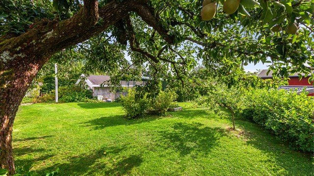 Tomten er tilnærmet flat og grenser mot grøntareal i bakkant.