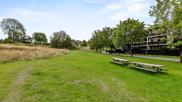 Området er et perfekt bosted for de som ønsker nærhet til sentrum, og samtidig et trivelig og frodig miljø
