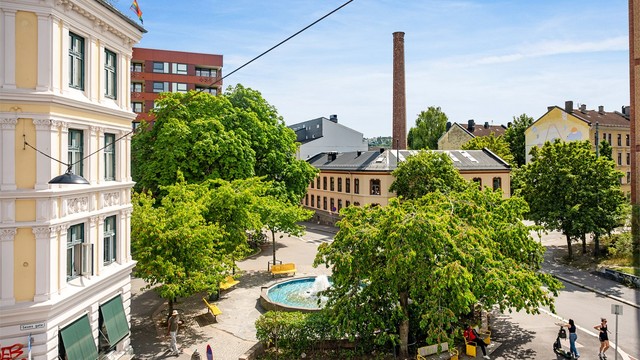 Et levende nabolag rett utenfor døren, med Tøyen Torg, lokale kaféer og Botanisk hage bare noen minutters gange unna.