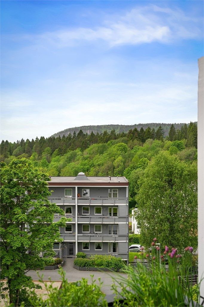 Utsikt mot Kolsåstoppen