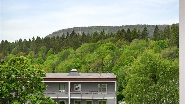 Utsikt mot Kolsåstoppen