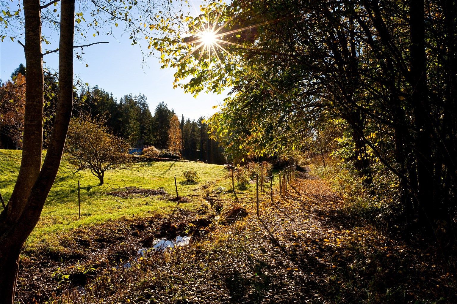 Her er det bare å knyte skoene – marka starter omtrent ved dørstokken, med stier som frister til både korte avstikkere og lange søndagsturer.