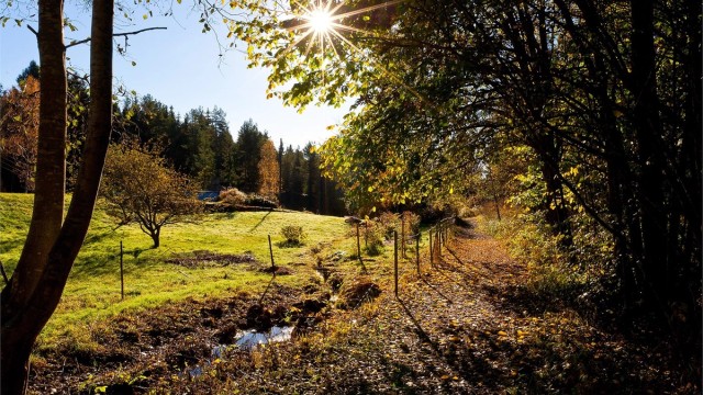 Her er det bare å knyte skoene – marka starter omtrent ved dørstokken, med stier som frister til både korte avstikkere og lange søndagsturer.